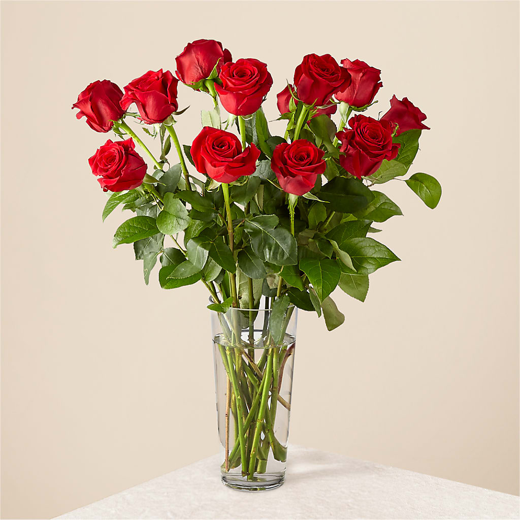 Long Stem Red Rose Bouquet – STEPHANIE'S GREENS-N-THINGS, West Hazleton PA