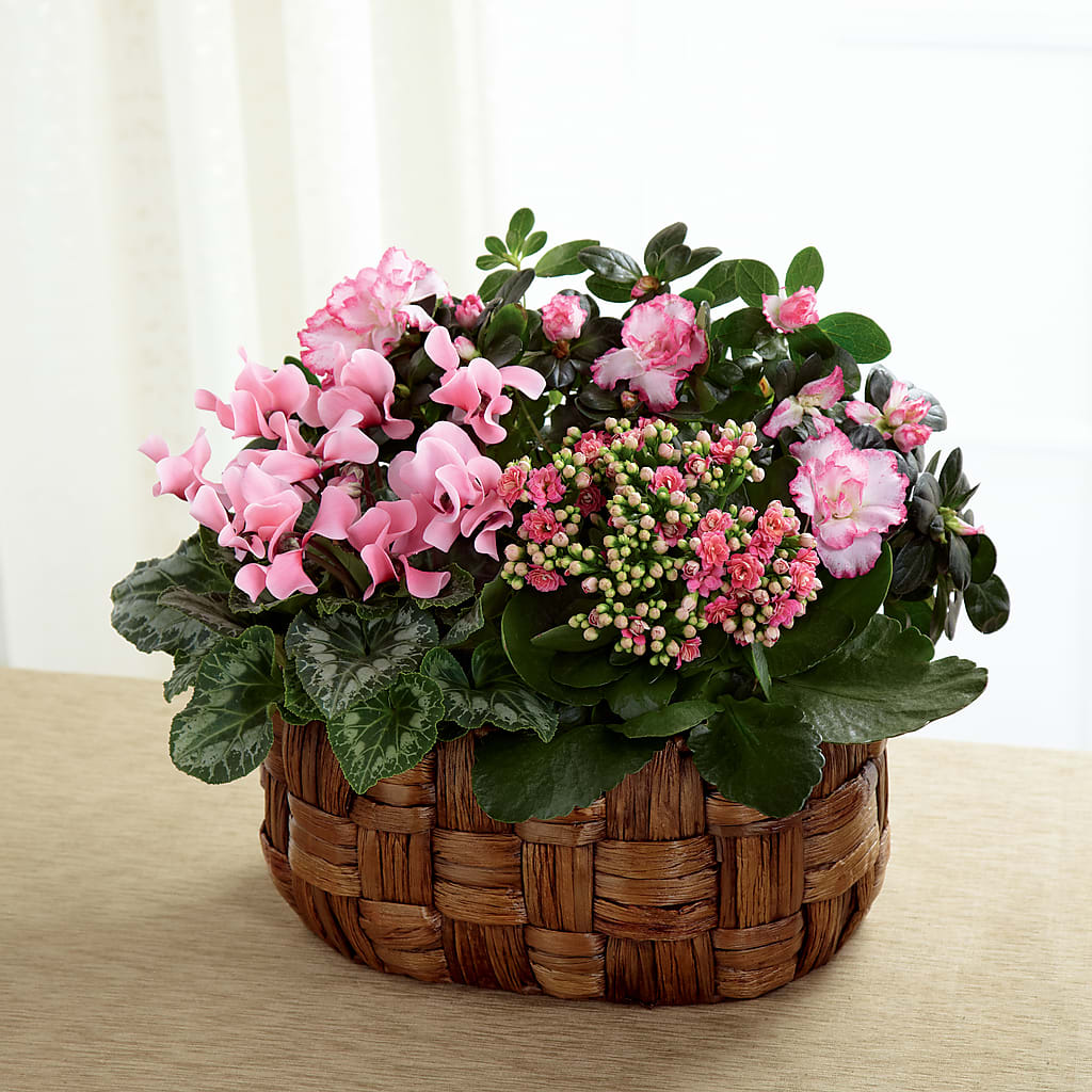Pink Assortment – STEPHANIE'S GREENS-N-THINGS, West Hazleton PA
