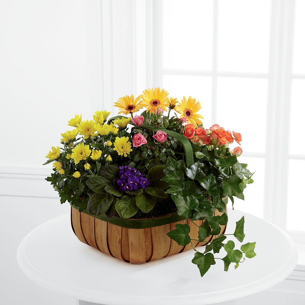 Gentle Blossoms Basket – STEPHANIE'S GREENS-N-THINGS, West Hazleton PA