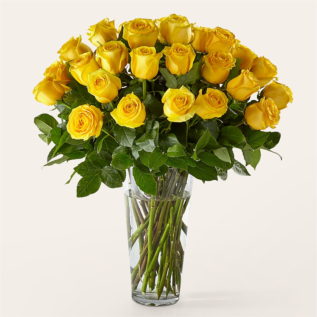 Long Stem Yellow Rose Bouquet – STEPHANIE'S GREENS-N-THINGS, West Hazleton PA