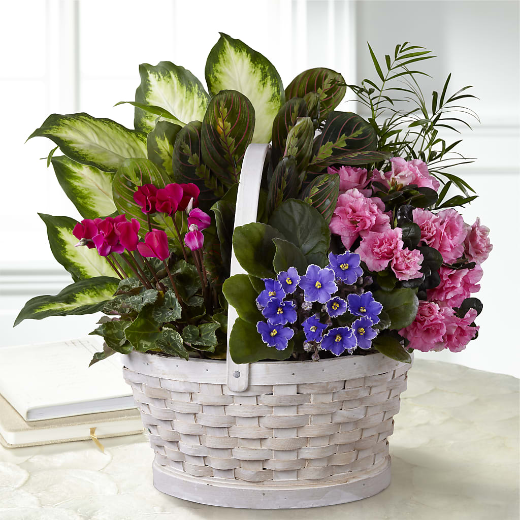 Peaceful Garden Planter – STEPHANIE'S GREENS-N-THINGS, West Hazleton PA