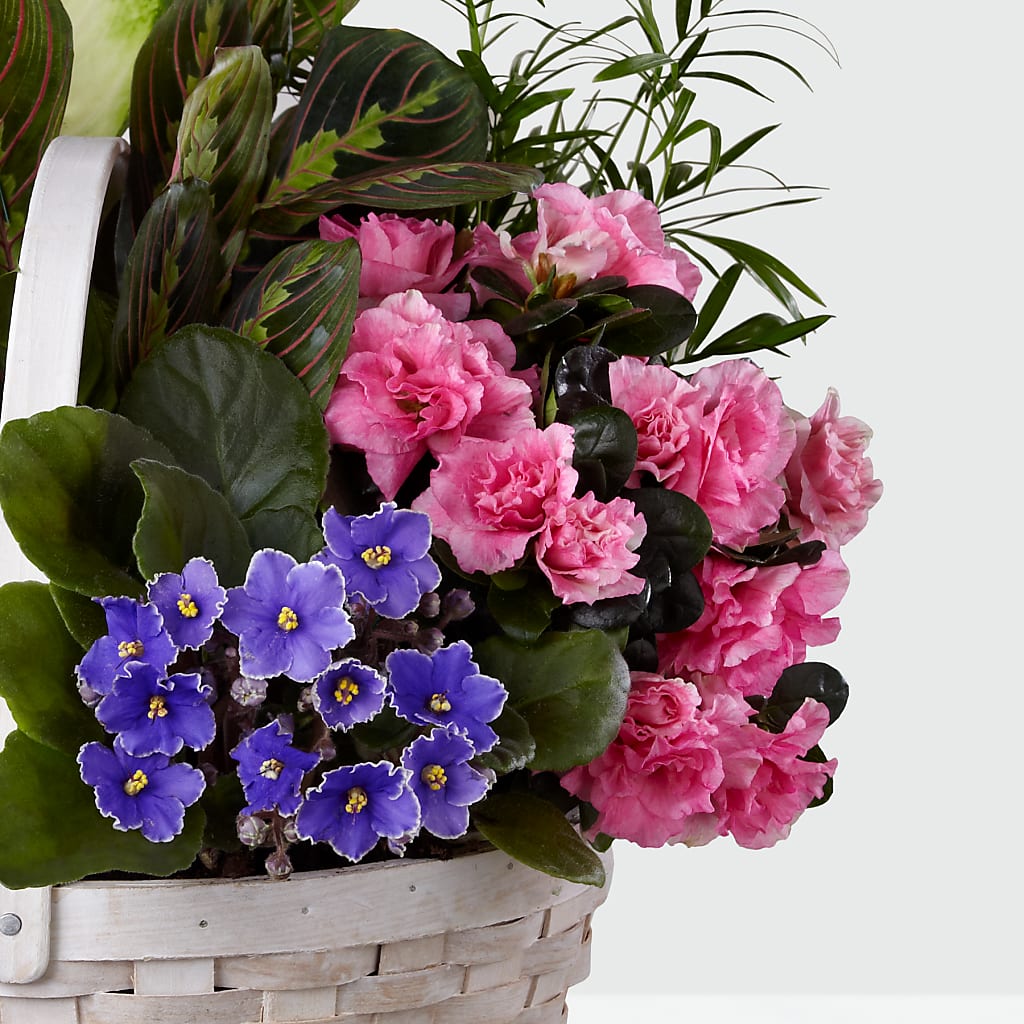 Peaceful Garden Planter – STEPHANIE'S GREENS-N-THINGS, West Hazleton PA