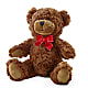 Adorable Plush Bear – STEPHANIE'S GREENS-N-THINGS, West Hazleton PA