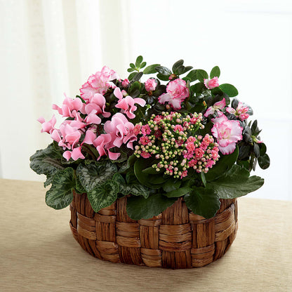 Pink Assortment – STEPHANIE'S GREENS-N-THINGS, West Hazleton PA