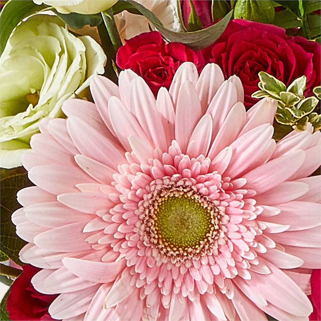 Too Cute Bouquet – STEPHANIE'S GREENS-N-THINGS, West Hazleton PA
