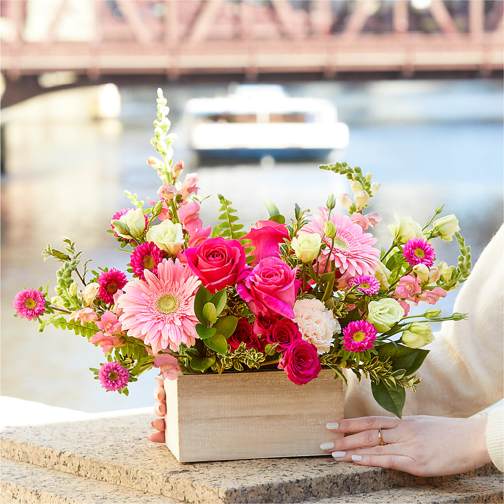 Too Cute Bouquet – STEPHANIE'S GREENS-N-THINGS, West Hazleton PA