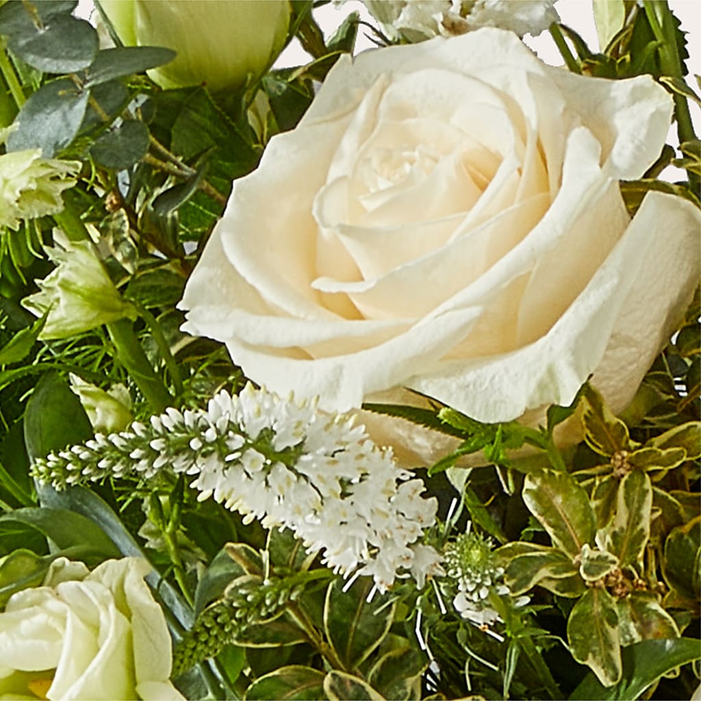 Cashmere Bouquet – STEPHANIE'S GREENS-N-THINGS, West Hazleton PA