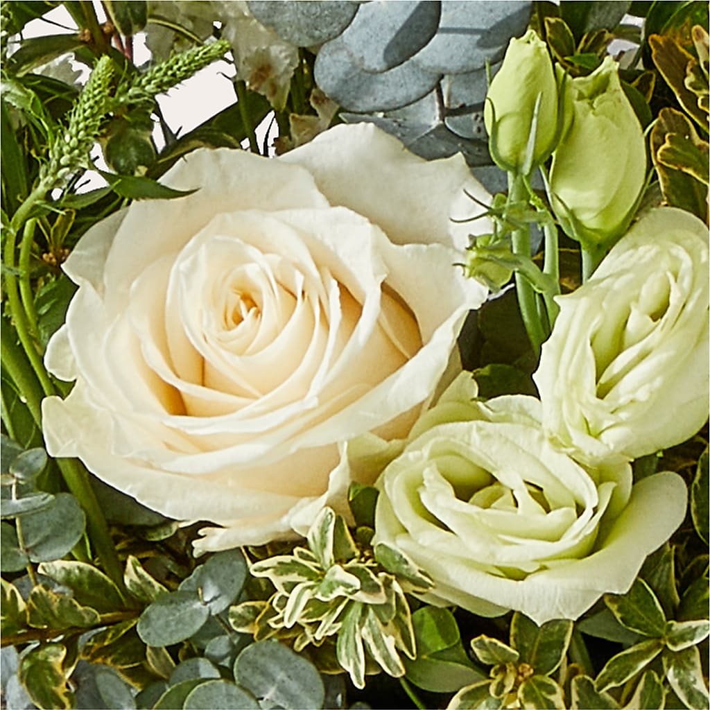 Cashmere Bouquet – STEPHANIE'S GREENS-N-THINGS, West Hazleton PA