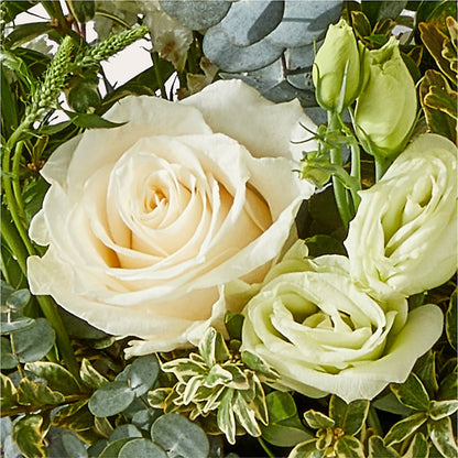 Cashmere Bouquet – STEPHANIE'S GREENS-N-THINGS, West Hazleton PA