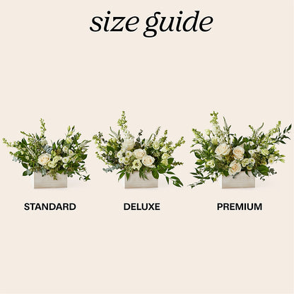 Cashmere Bouquet – STEPHANIE'S GREENS-N-THINGS, West Hazleton PA