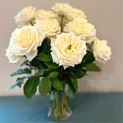 Long Stem Yellow Rose Bouquet – STEPHANIE'S GREENS-N-THINGS, West Hazleton PA