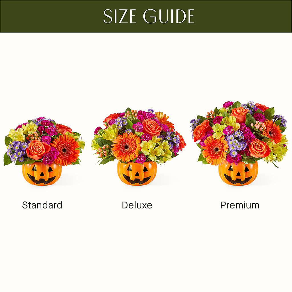 Tricks & Treats Pumpkin – STEPHANIE'S GREENS-N-THINGS, West Hazleton PA