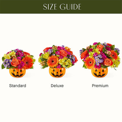 Tricks & Treats Pumpkin – STEPHANIE'S GREENS-N-THINGS, West Hazleton PA