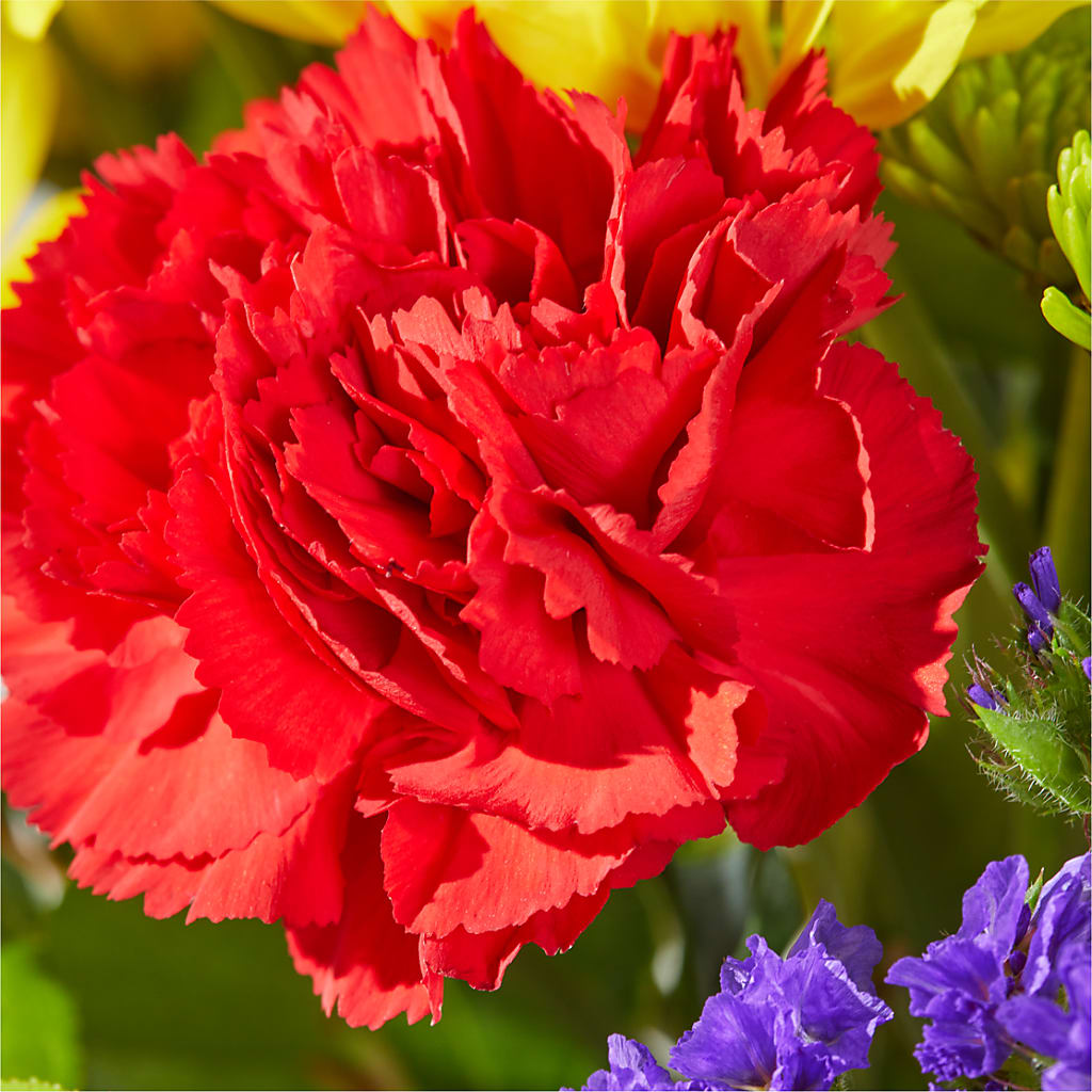 Brighter Days Bouquet – STEPHANIE'S GREENS-N-THINGS, West Hazleton PA