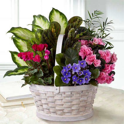 Peaceful Garden Planter – STEPHANIE'S GREENS-N-THINGS, West Hazleton PA