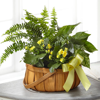 Always Dear Dishgarden – STEPHANIE'S GREENS-N-THINGS, West Hazleton PA