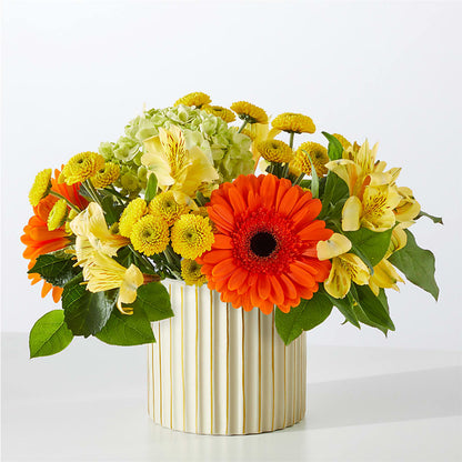 Autumn Sunshine Bouquet with Ivory Vase – STEPHANIE'S GREENS-N-THINGS, West Hazleton PA