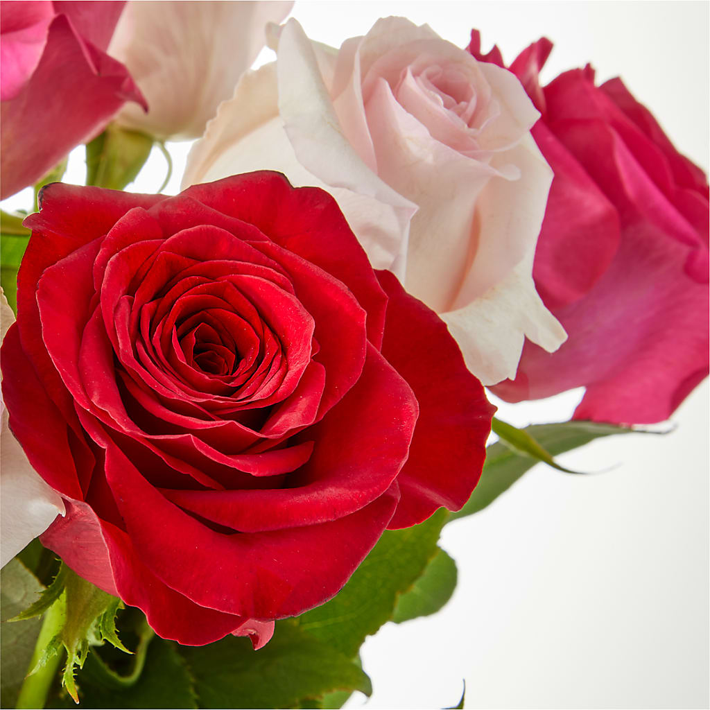 Charming Rose Bouquet – STEPHANIE'S GREENS-N-THINGS, West Hazleton PA