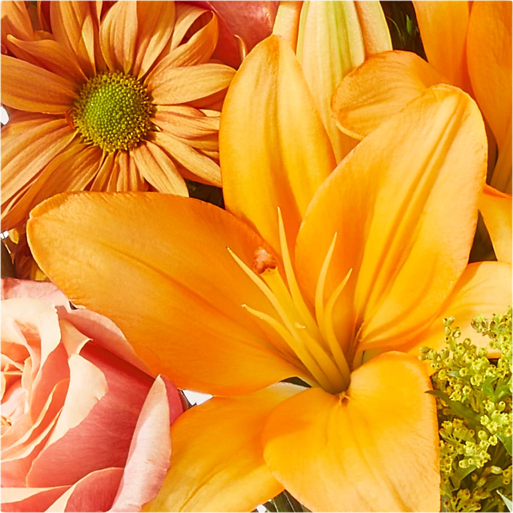 Harvest Hayride Bouquet – STEPHANIE'S GREENS-N-THINGS, West Hazleton PA