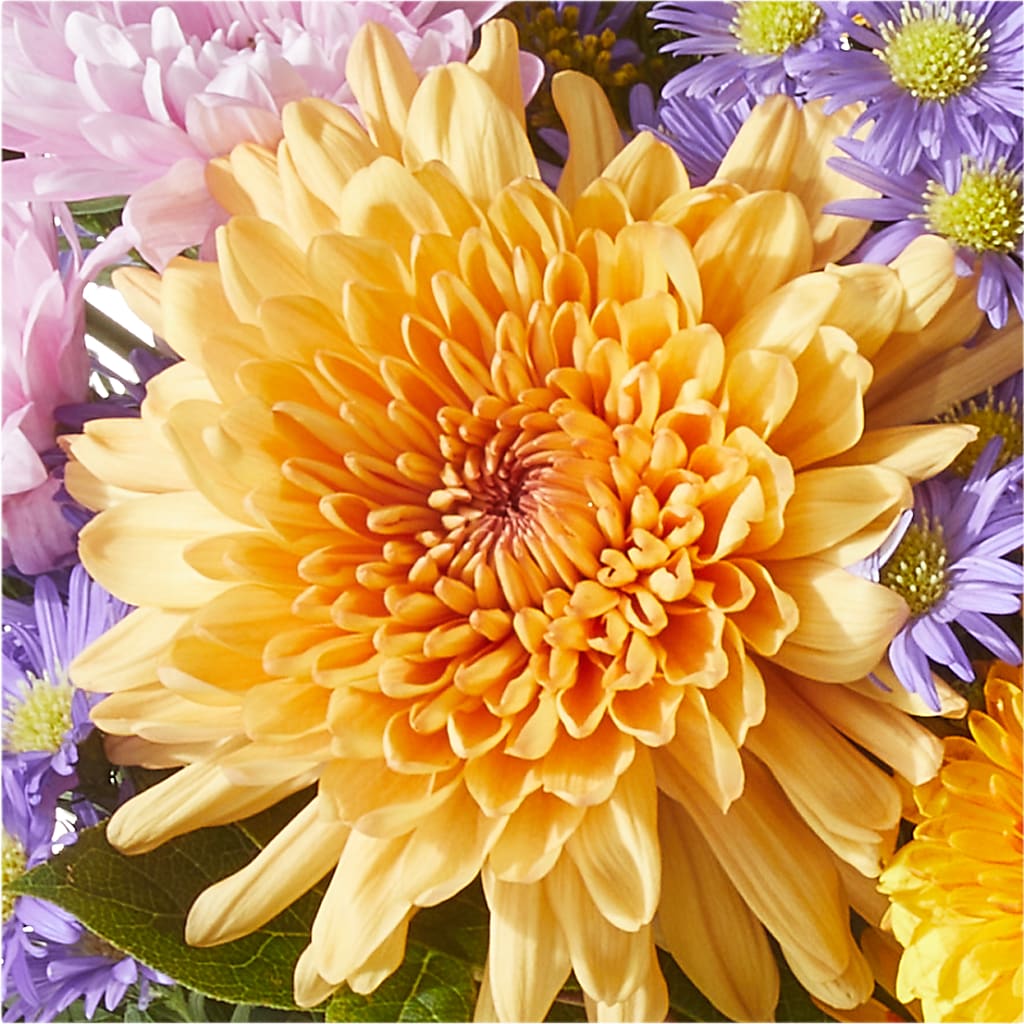 Countryside Bouquet – STEPHANIE'S GREENS-N-THINGS, West Hazleton PA
