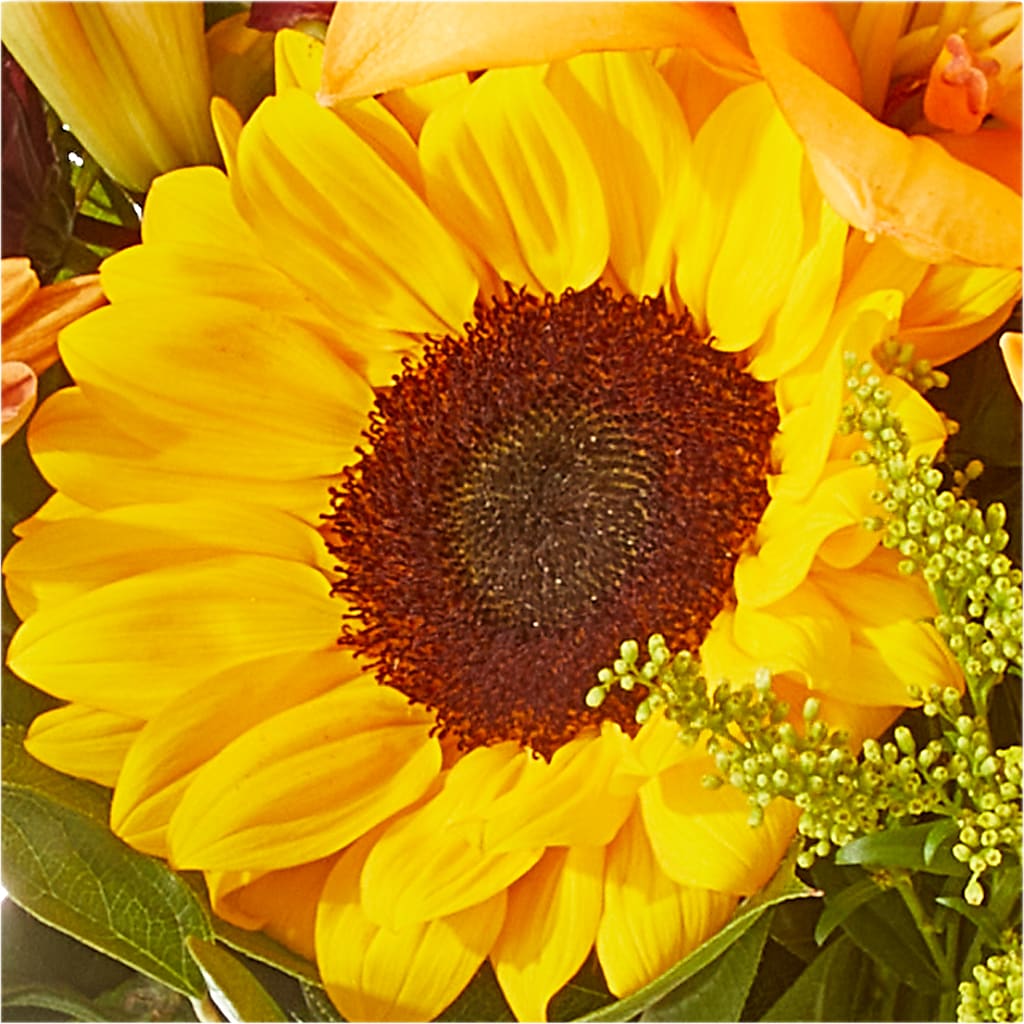 Seasons Change Bouquet – STEPHANIE'S GREENS-N-THINGS, West Hazleton PA