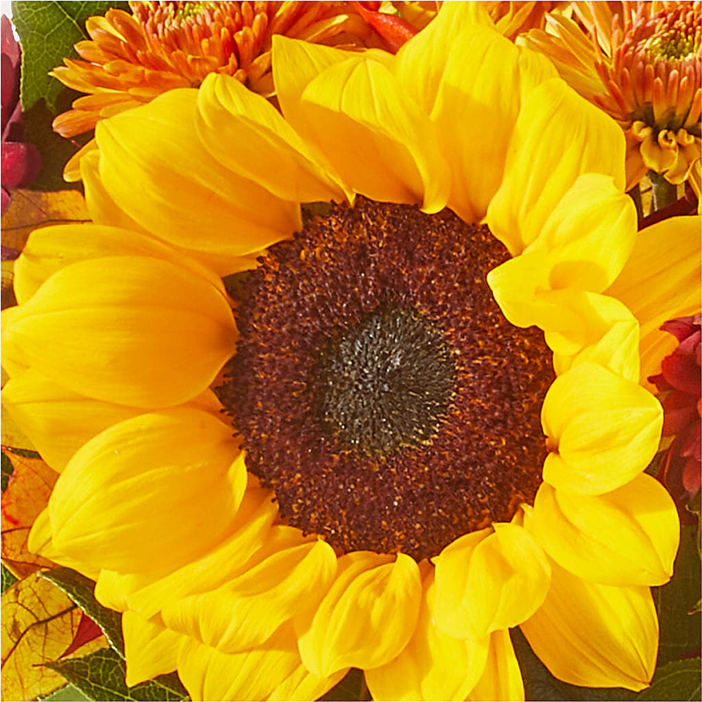 Sunny Side Bouquet – STEPHANIE'S GREENS-N-THINGS, West Hazleton PA