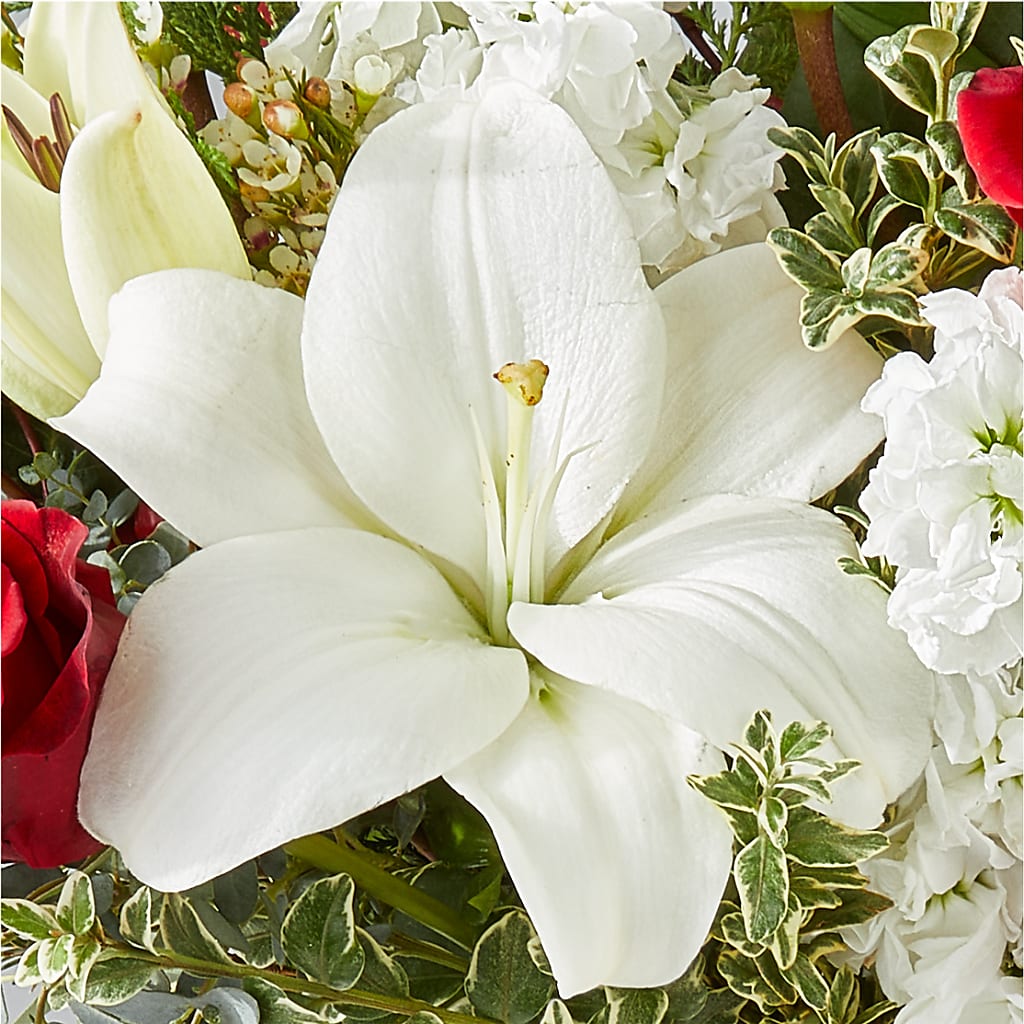 Twinkle Lights Bouquet – STEPHANIE'S GREENS-N-THINGS, West Hazleton PA