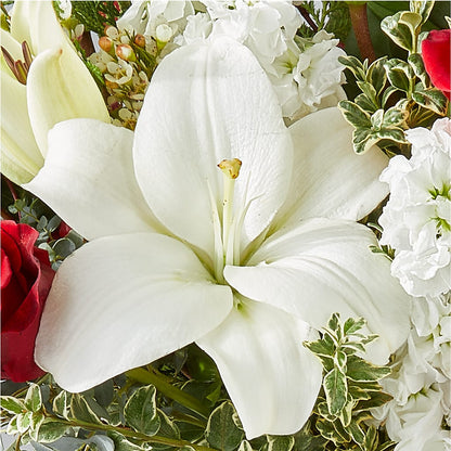 Twinkle Lights Bouquet – STEPHANIE'S GREENS-N-THINGS, West Hazleton PA