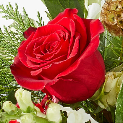Deck the Halls Bouquet – STEPHANIE'S GREENS-N-THINGS, West Hazleton PA