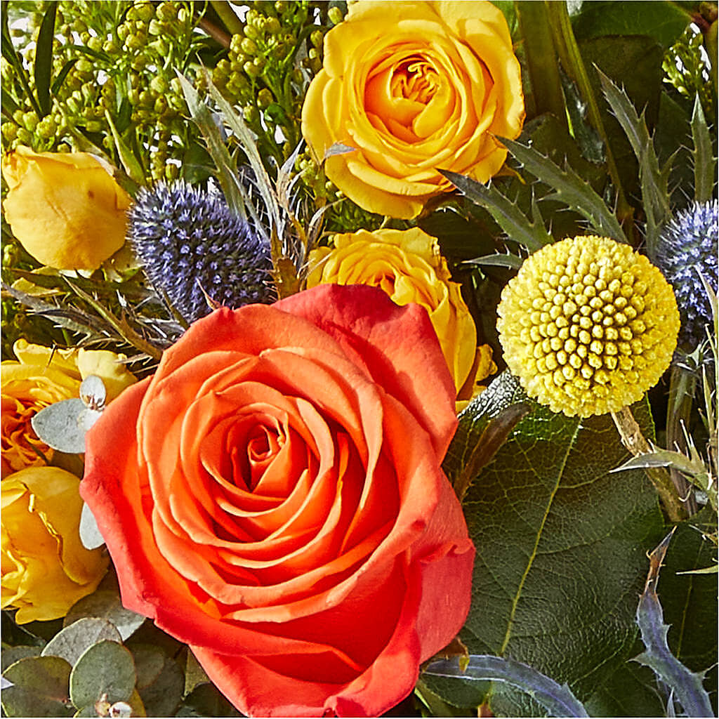 Disco Bouquet – STEPHANIE'S GREENS-N-THINGS, West Hazleton PA