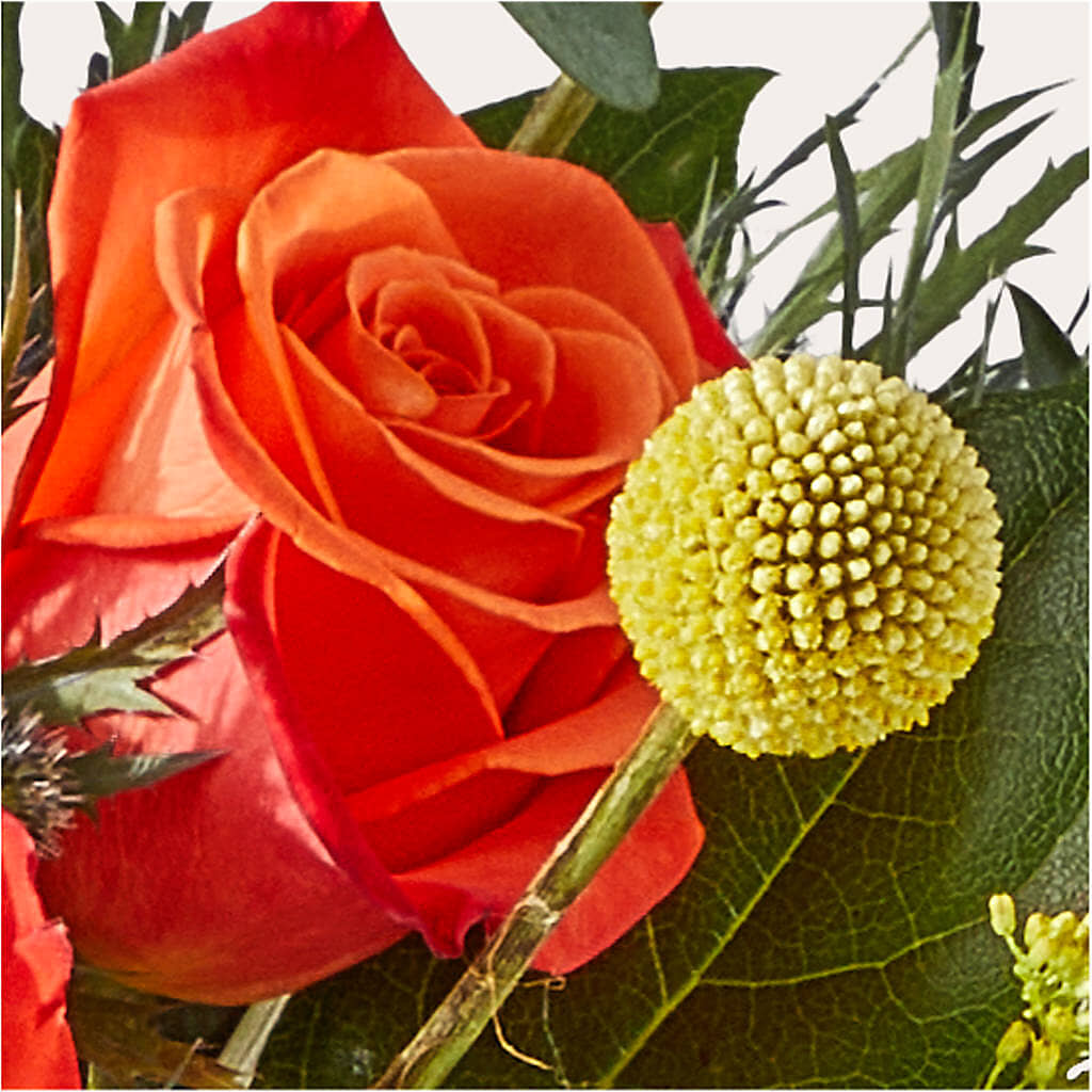 Disco Bouquet – STEPHANIE'S GREENS-N-THINGS, West Hazleton PA