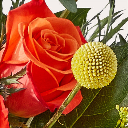 Disco Bouquet – STEPHANIE'S GREENS-N-THINGS, West Hazleton PA