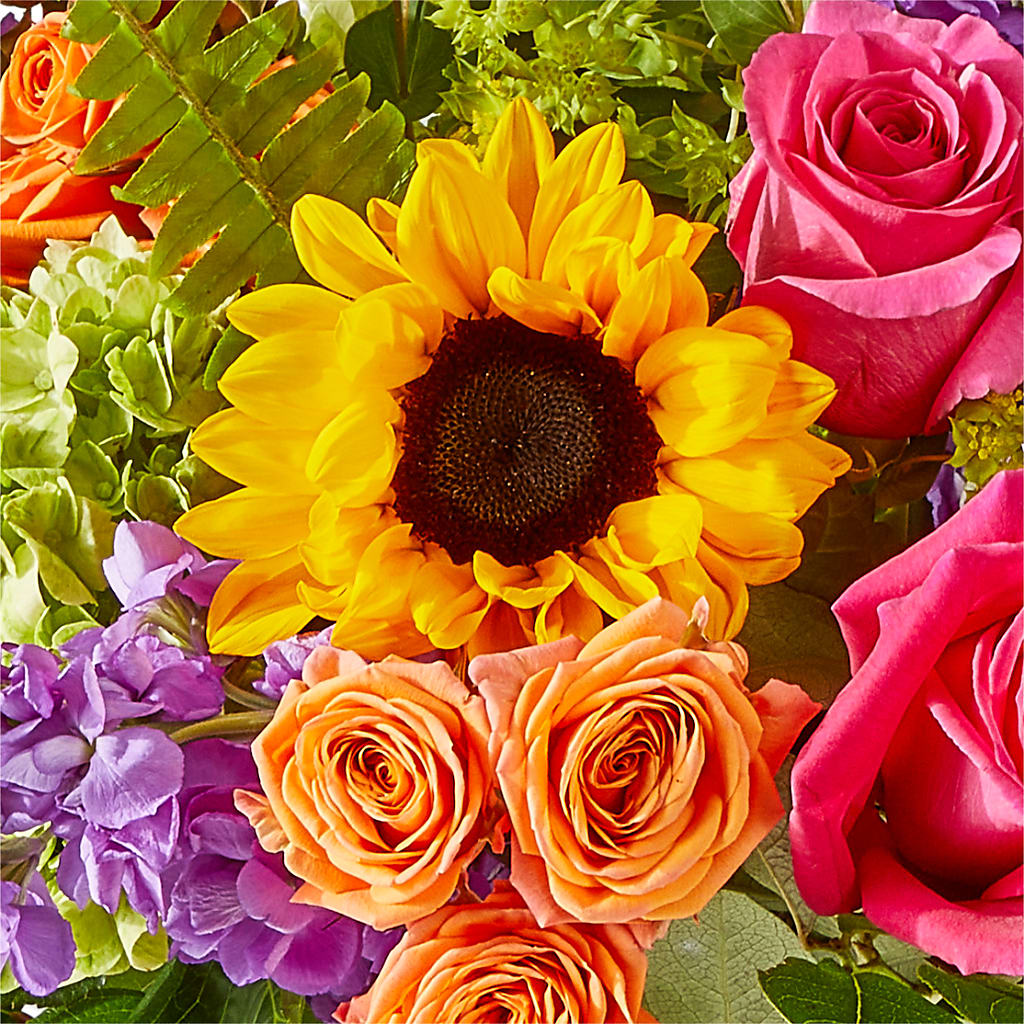 Vibrant Greetings Bouquet – STEPHANIE'S GREENS-N-THINGS, West Hazleton PA
