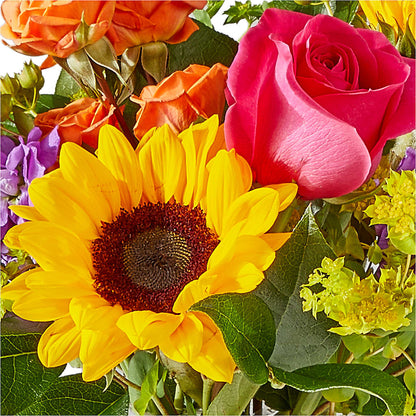 Vibrant Greetings Bouquet – STEPHANIE'S GREENS-N-THINGS, West Hazleton PA