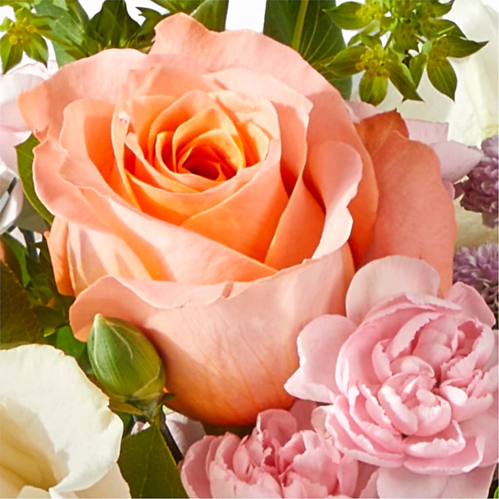 French Market Bouquet – STEPHANIE'S GREENS-N-THINGS, West Hazleton PA