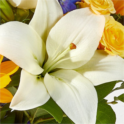 Wonderfully Sunny Bouquet – STEPHANIE'S GREENS-N-THINGS, West Hazleton PA