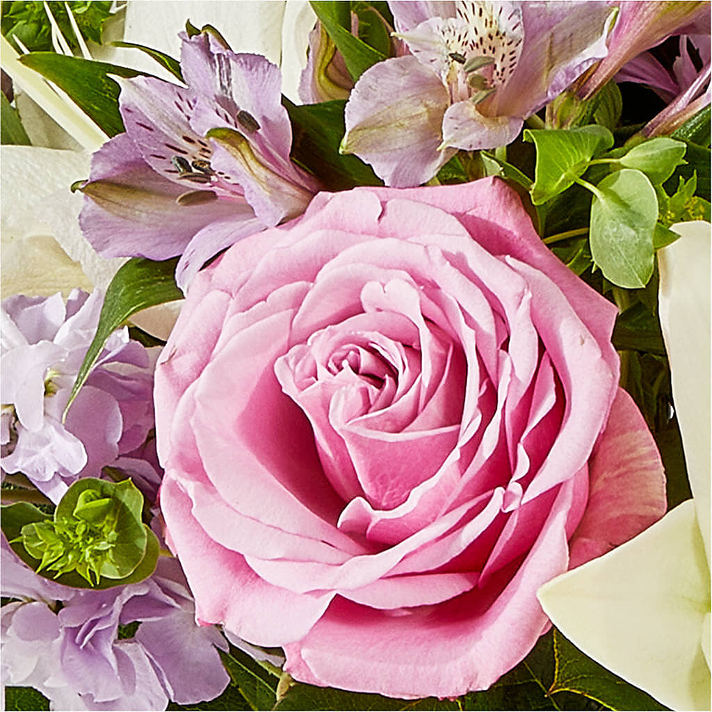Daydreamer Bouquet – STEPHANIE'S GREENS-N-THINGS, West Hazleton PA