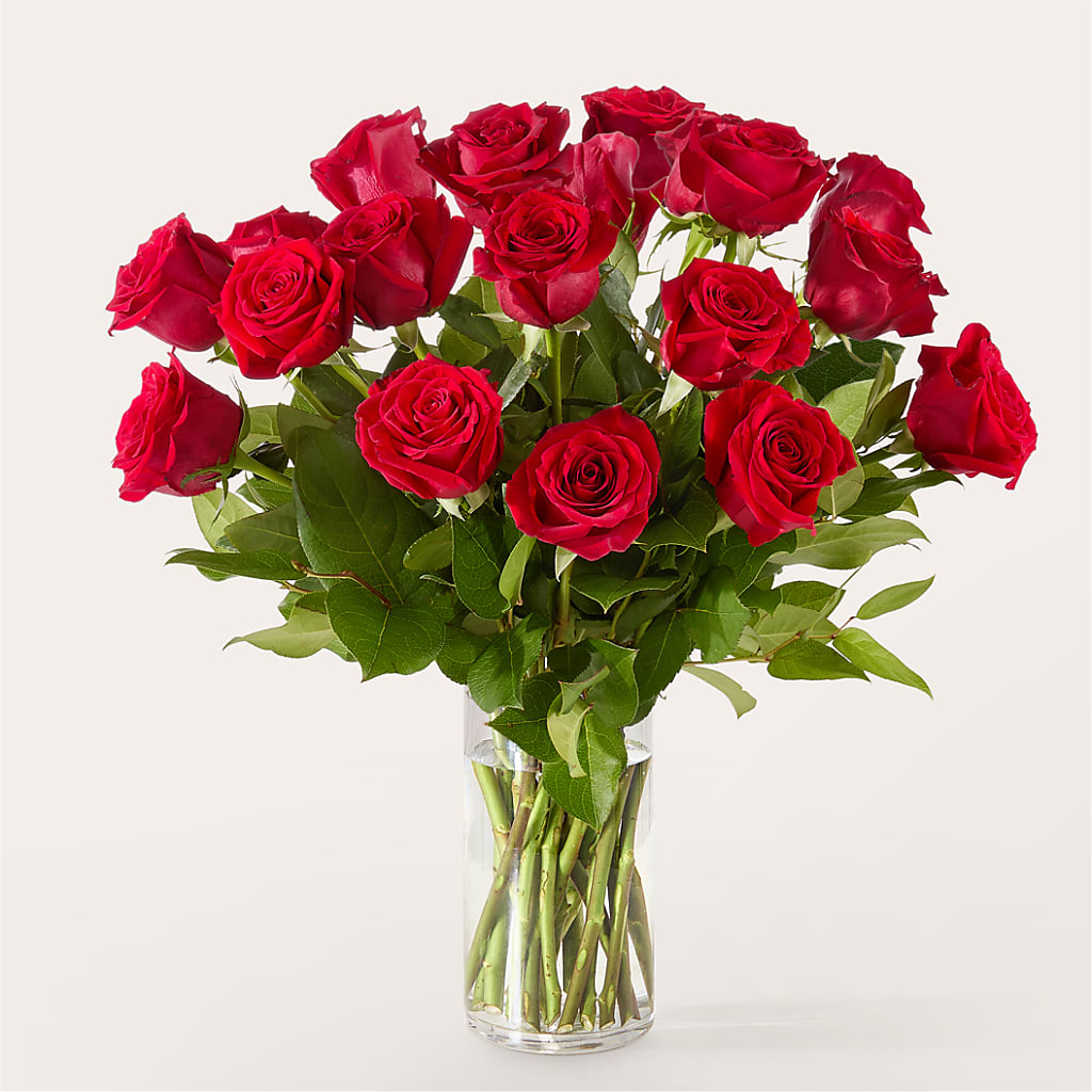 The One Red Rose Bouquet – STEPHANIE'S GREENS-N-THINGS, West Hazleton PA