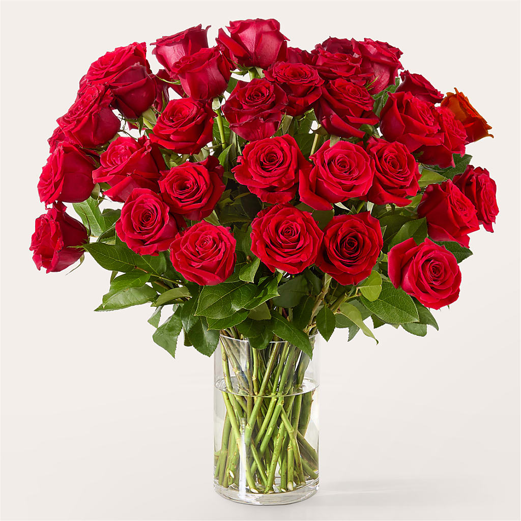 The One Red Rose Bouquet – STEPHANIE'S GREENS-N-THINGS, West Hazleton PA