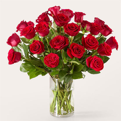 The One Red Rose Bouquet – STEPHANIE'S GREENS-N-THINGS, West Hazleton PA