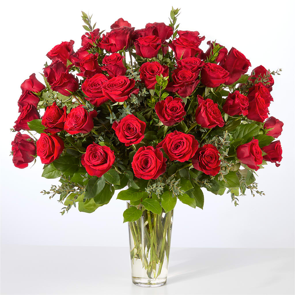 Forever Yours Fifty Stem Red Rose Bouquet – STEPHANIE'S GREENS-N-THINGS, West Hazleton PA