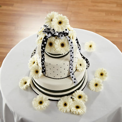 Simple Sophistication Cake Décor – STEPHANIE'S GREENS-N-THINGS, West Hazleton PA