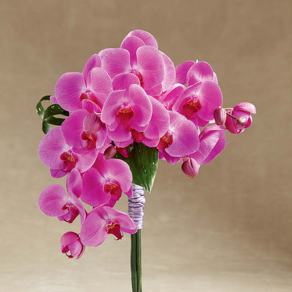 Glorious Bouquet – STEPHANIE'S GREENS-N-THINGS, West Hazleton PA