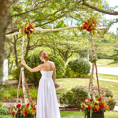 Arbor of Love Archway – STEPHANIE'S GREENS-N-THINGS, West Hazleton PA