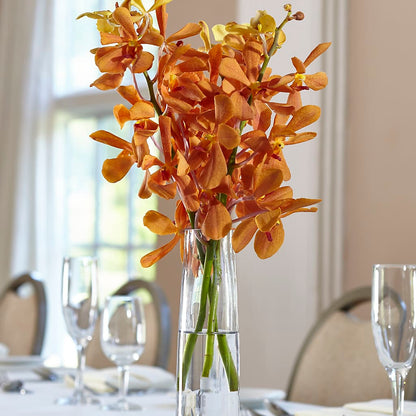Orange Mokara Bud Vase – STEPHANIE'S GREENS-N-THINGS, West Hazleton PA