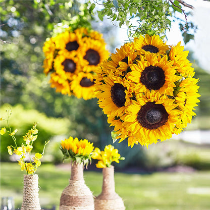 Sublime Garden Hanging Arrangement – STEPHANIE'S GREENS-N-THINGS, West Hazleton PA