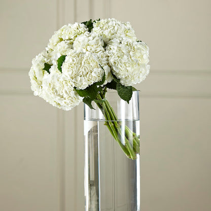 White Hydrangea Hand-Tied Bouquet – STEPHANIE'S GREENS-N-THINGS, West Hazleton PA