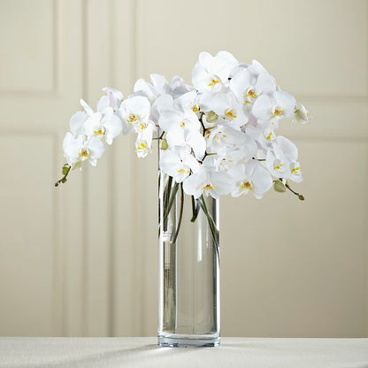 White Phalaenopsis Bouquet – STEPHANIE'S GREENS-N-THINGS, West Hazleton PA