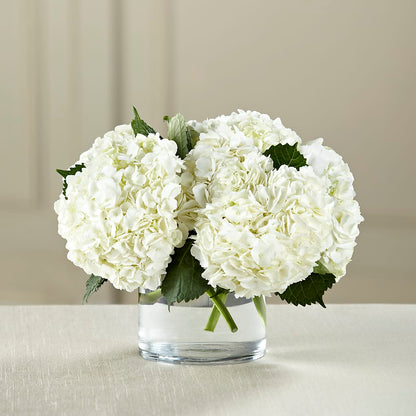White Hydrangea Bouquet – STEPHANIE'S GREENS-N-THINGS, West Hazleton PA