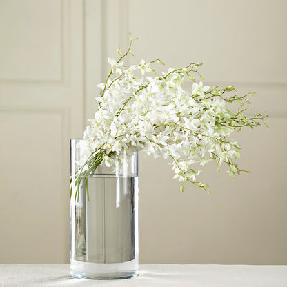 White Dendrobium Bouquet – STEPHANIE'S GREENS-N-THINGS, West Hazleton PA